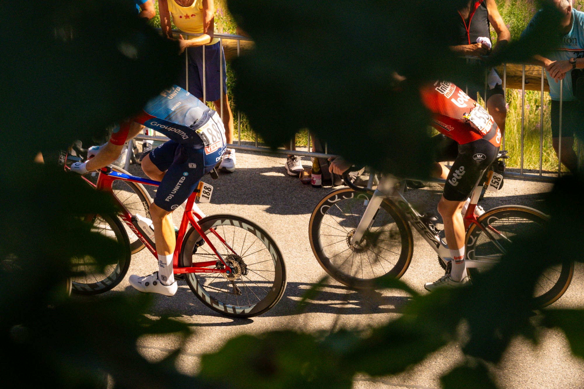 Through the trees.